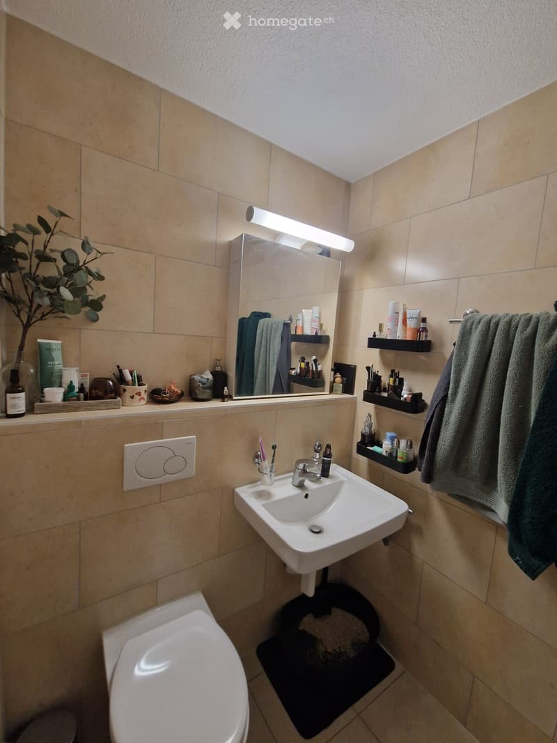 Sous-location  Appartement 2,5 pièces meublé à VSG (3)