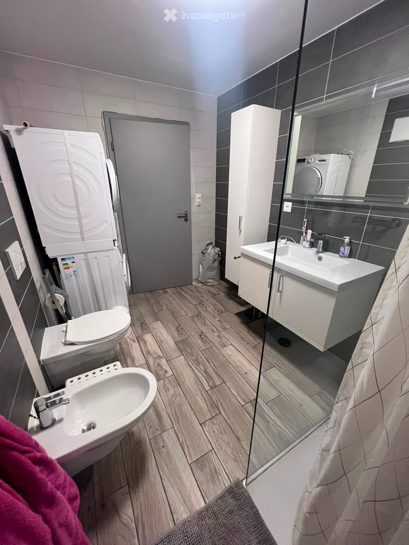 Appartement 4,5 pièces à louer (5)