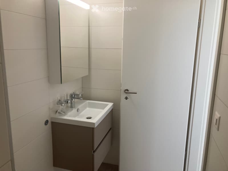 Appartement à louer 2 pièces et demi (5)