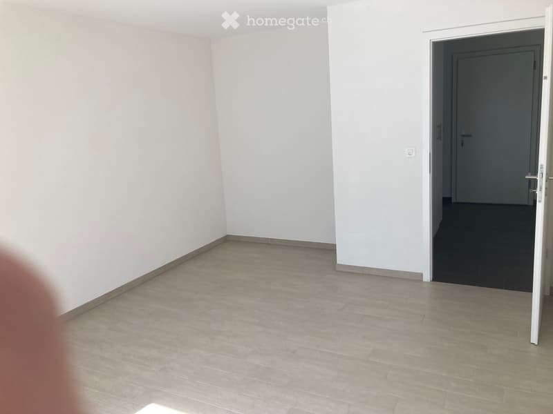 Appartement à louer 2 pièces et demi (3)