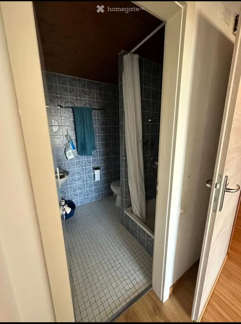 Appartement 1.5 pièces à Fribourg (2)