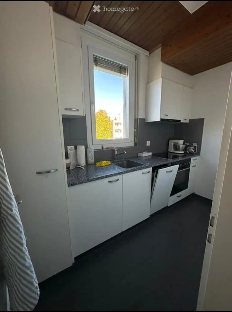 Appartement 1.5 pièces à Fribourg (4)