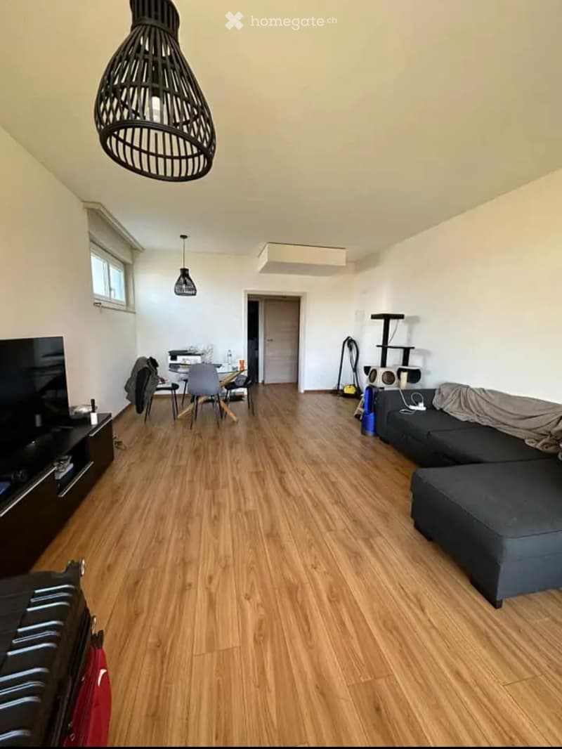 Appartement 1.5 pièces à Fribourg (5)
