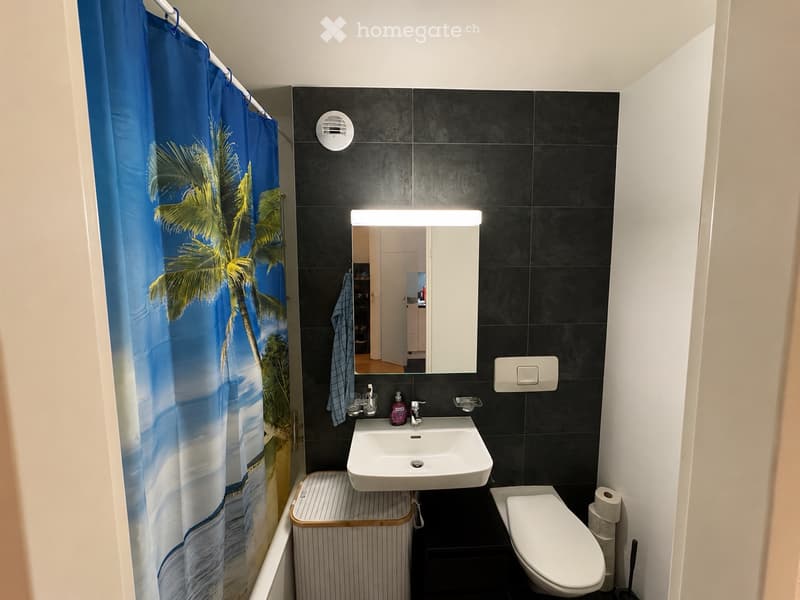Appartement 2.5 pièces à Chavannes (3)