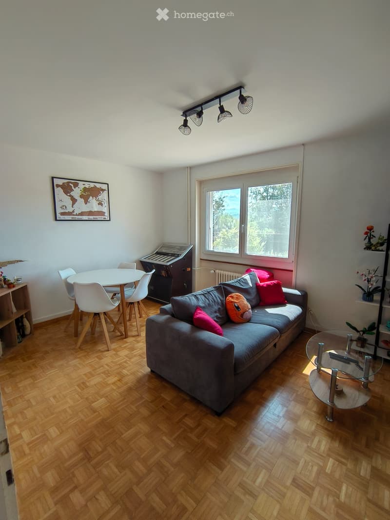 Appartement 2.5 pièce au rez (3)