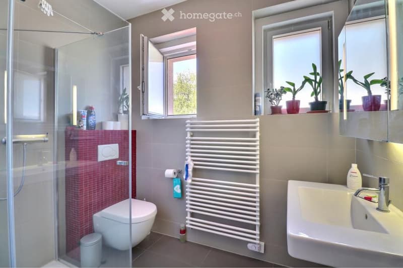 Charmant appartement (charges et parking compris) (2)