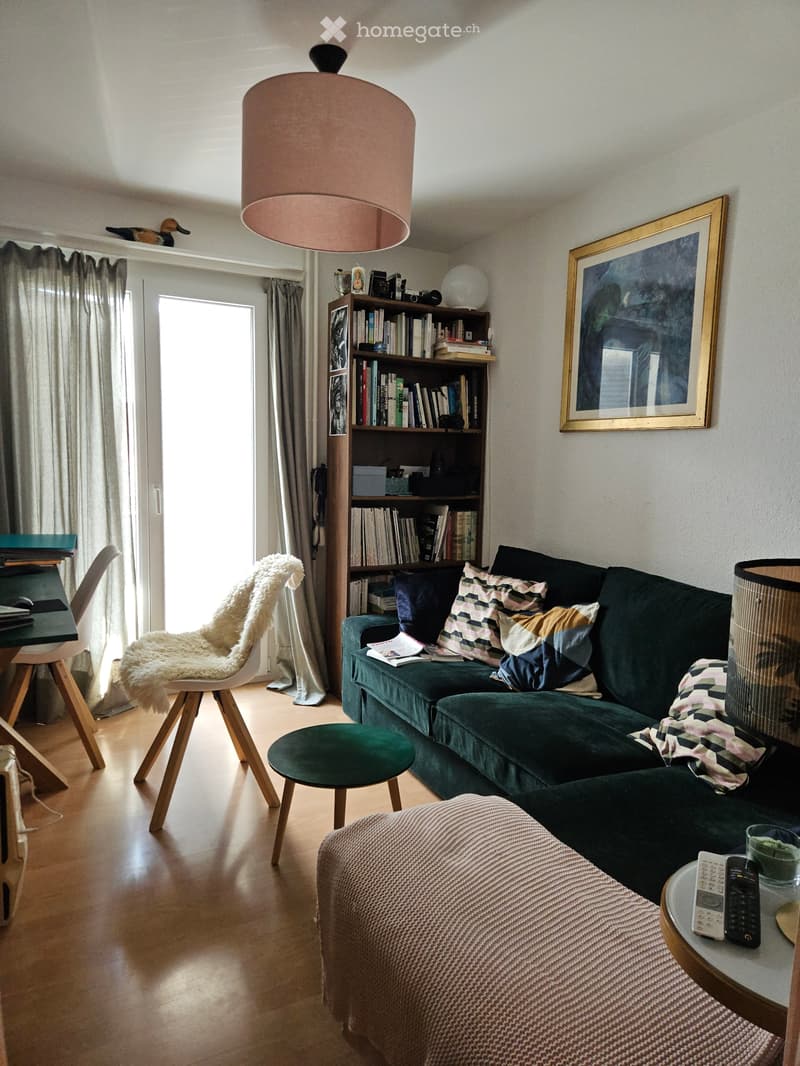 Appartement 3.5 pièces au rez-de-chaussée supérieur (3)