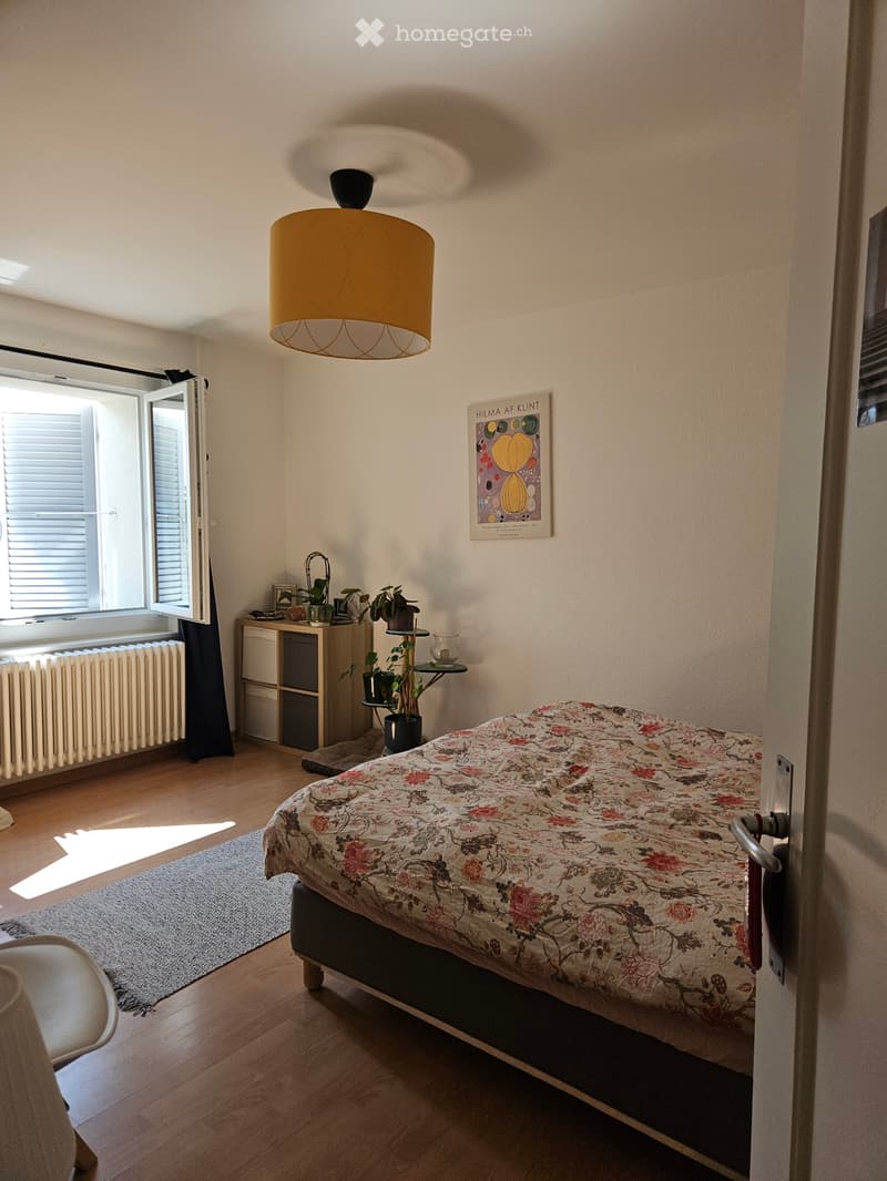 Appartement 3.5 pièces au rez-de-chaussée supérieur (5)