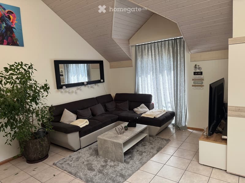 Grand appartement avec mezzanine (2)