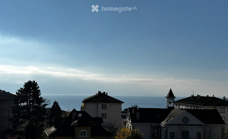 SHORT TERM RENTAL FLAT IN LAUSANNE - 2-3 months (3)
