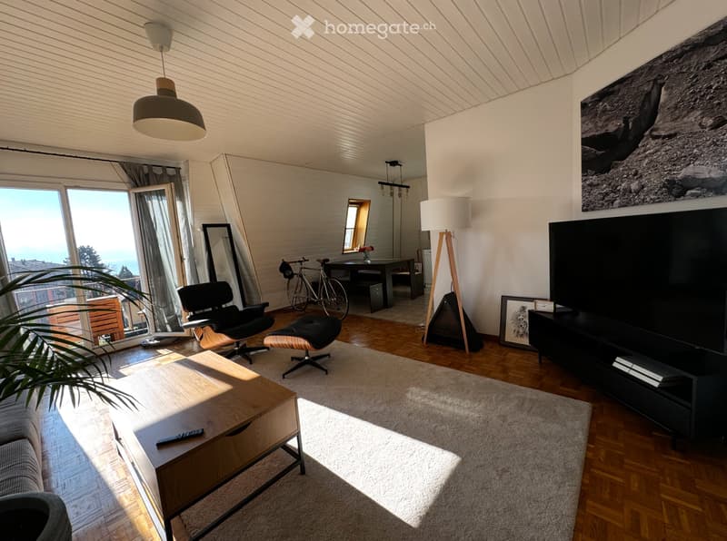 SHORT TERM RENTAL FLAT IN LAUSANNE - 2-3 months (1)