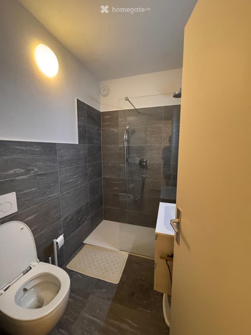 Charmant appartement de 2.5 pièces à Olten. (2)