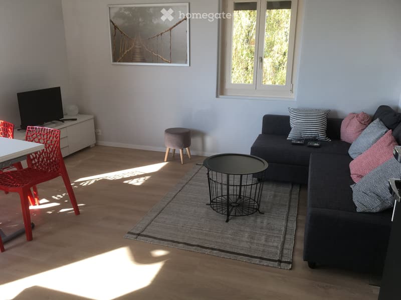 2 pièces au calme à 1mn de la gare de Trélex (1)