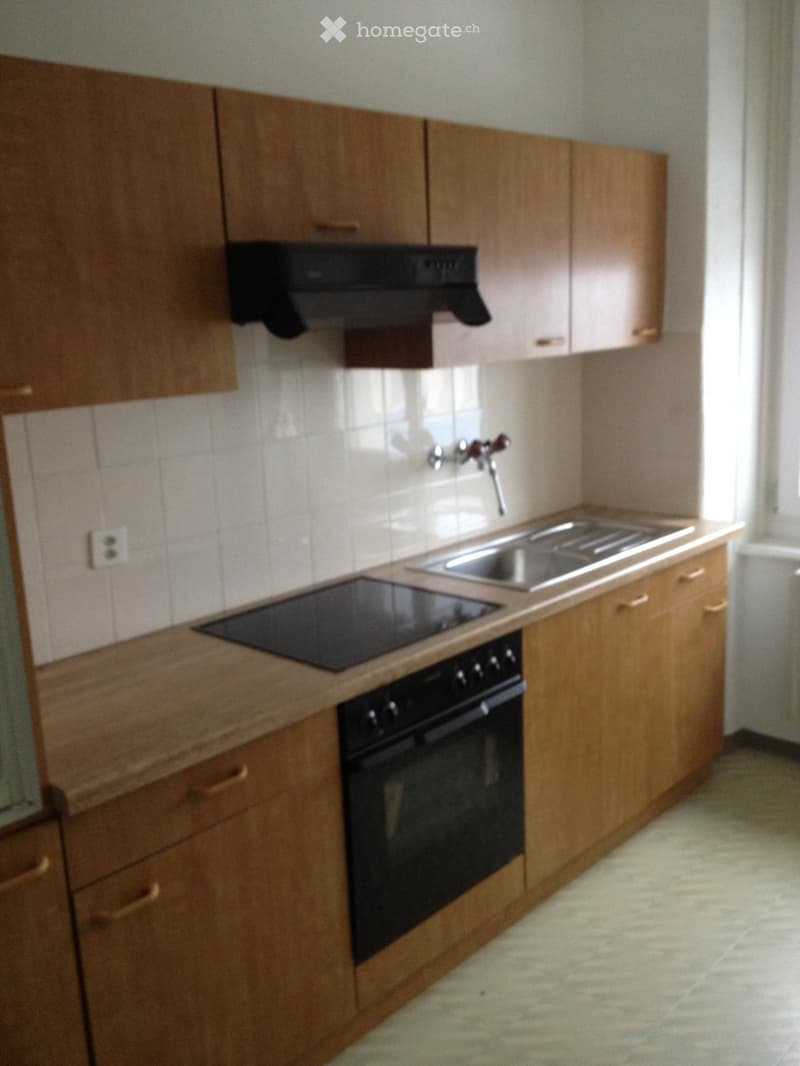 Bel et lumineux appartement traversant (2)
