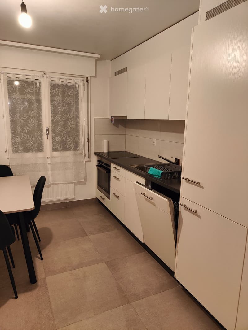 Appartement 3.5 pces meublé (3)