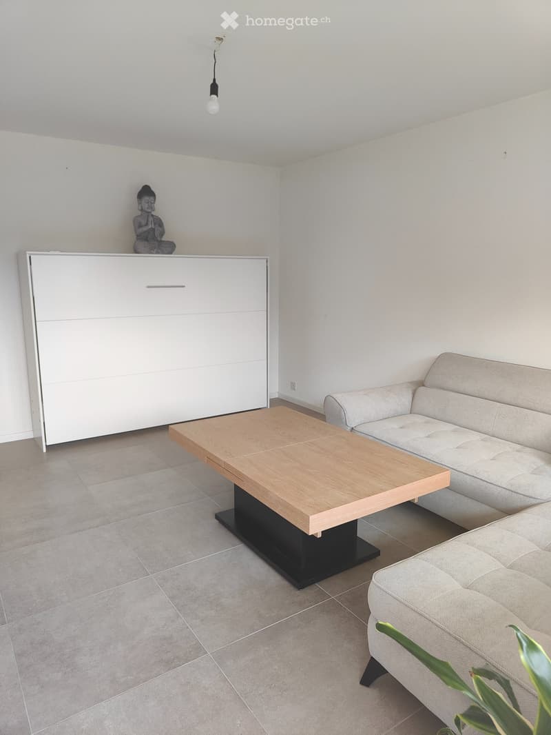 Appartement 3.5 pces meublé (5)