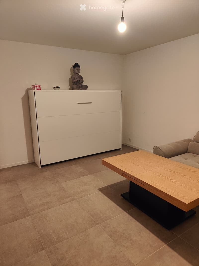 Appartement 3.5 pces meublé (4)