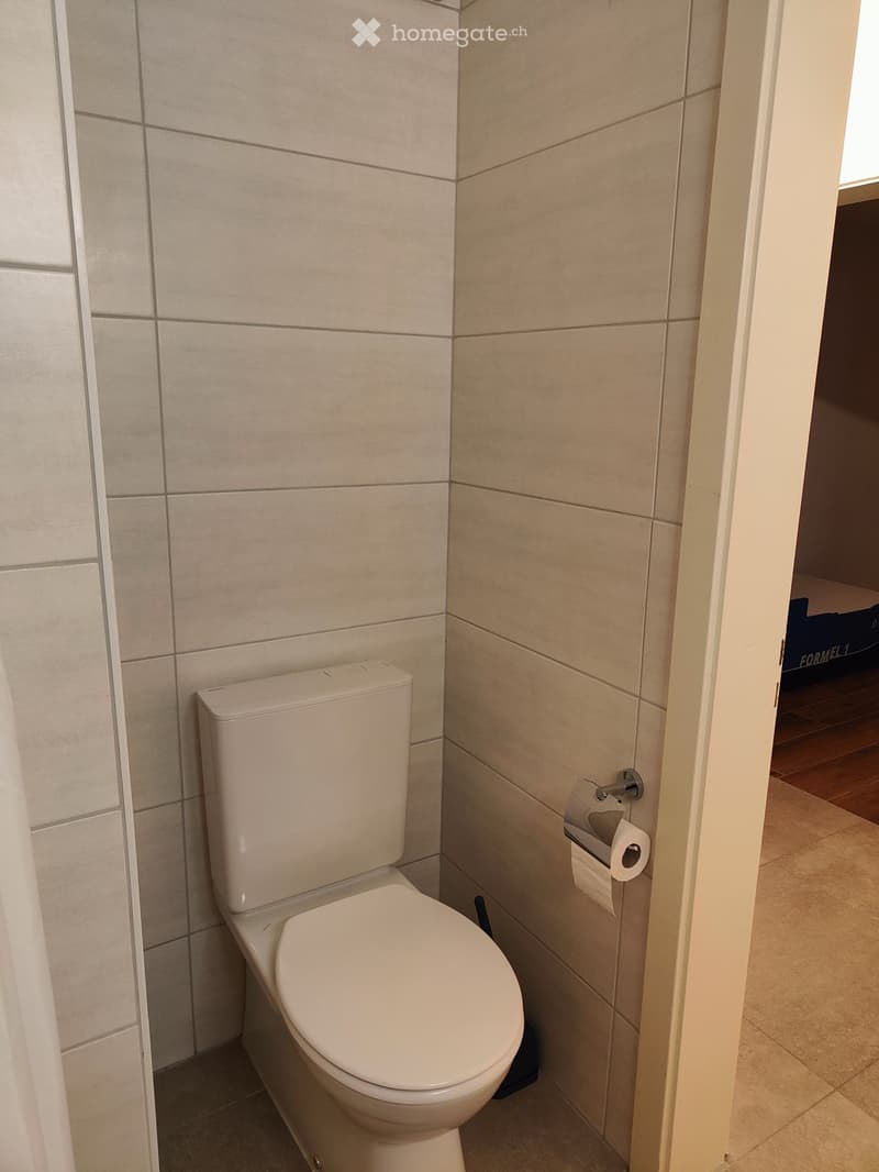 Appartement 3.5 pces meublé (2)