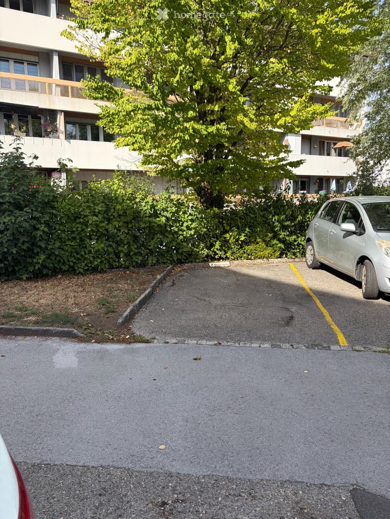 À REMETTRE appartement 3 pièces Disponible dès le 01.10.2026 (2)