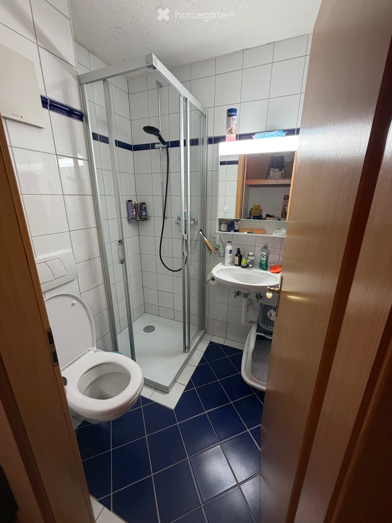 Appartement 4 pièces (2)