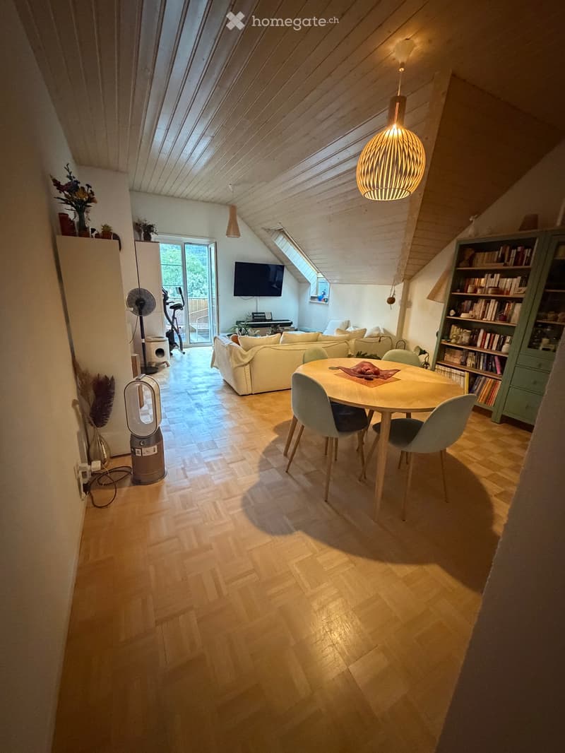 Appartement 4 pièces (1)