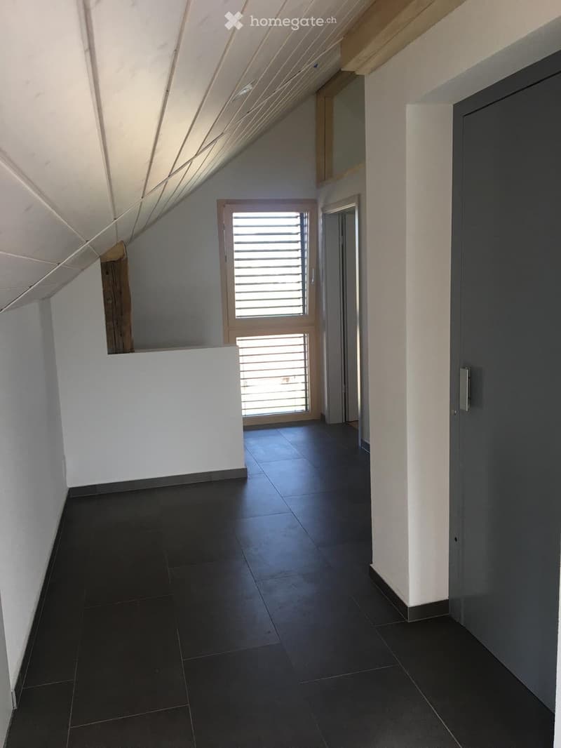 Châtillens, appartement d'exception (4)