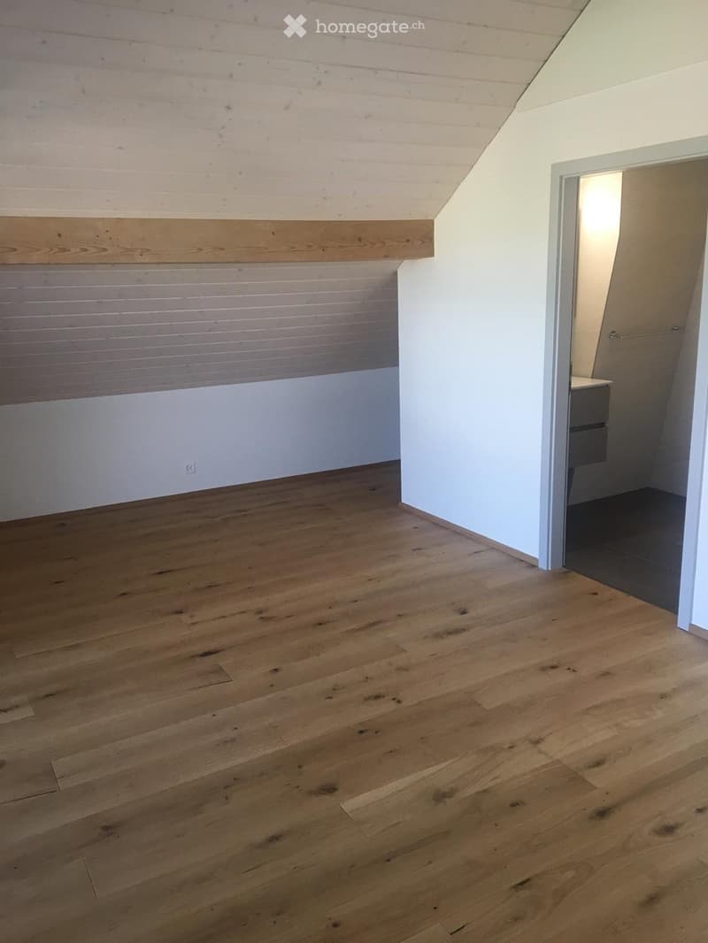 Châtillens, appartement d'exception (5)