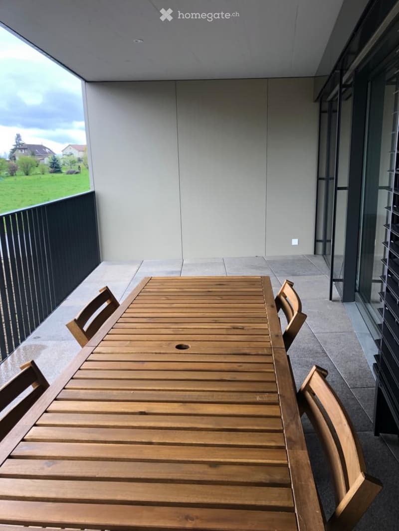 Charmant 2.5 pièces meublé avec grande terrasse de 20 m² (2)