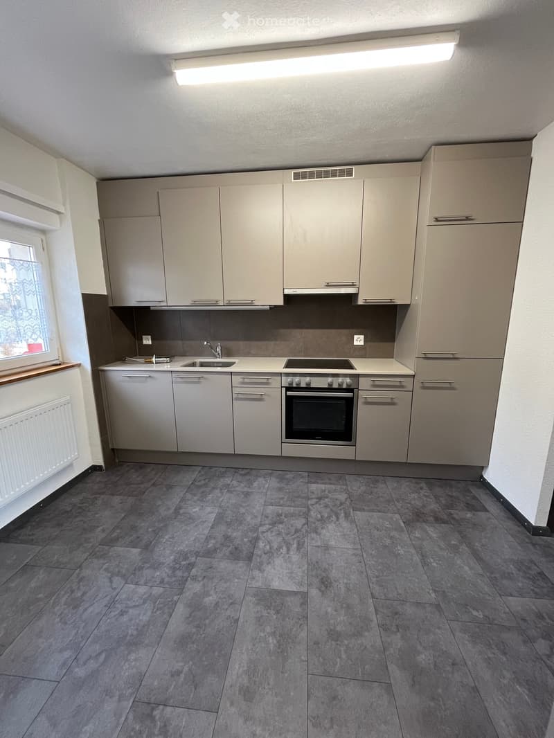 Bel appartement rénové (1)
