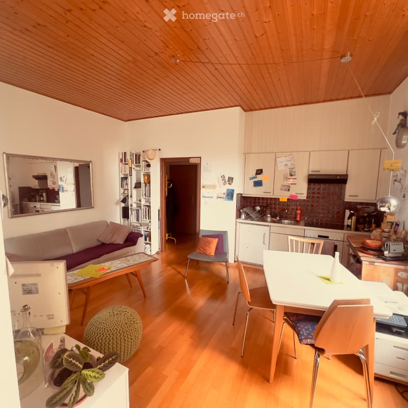 Appartement à louer sous gare, Lausanne (3)