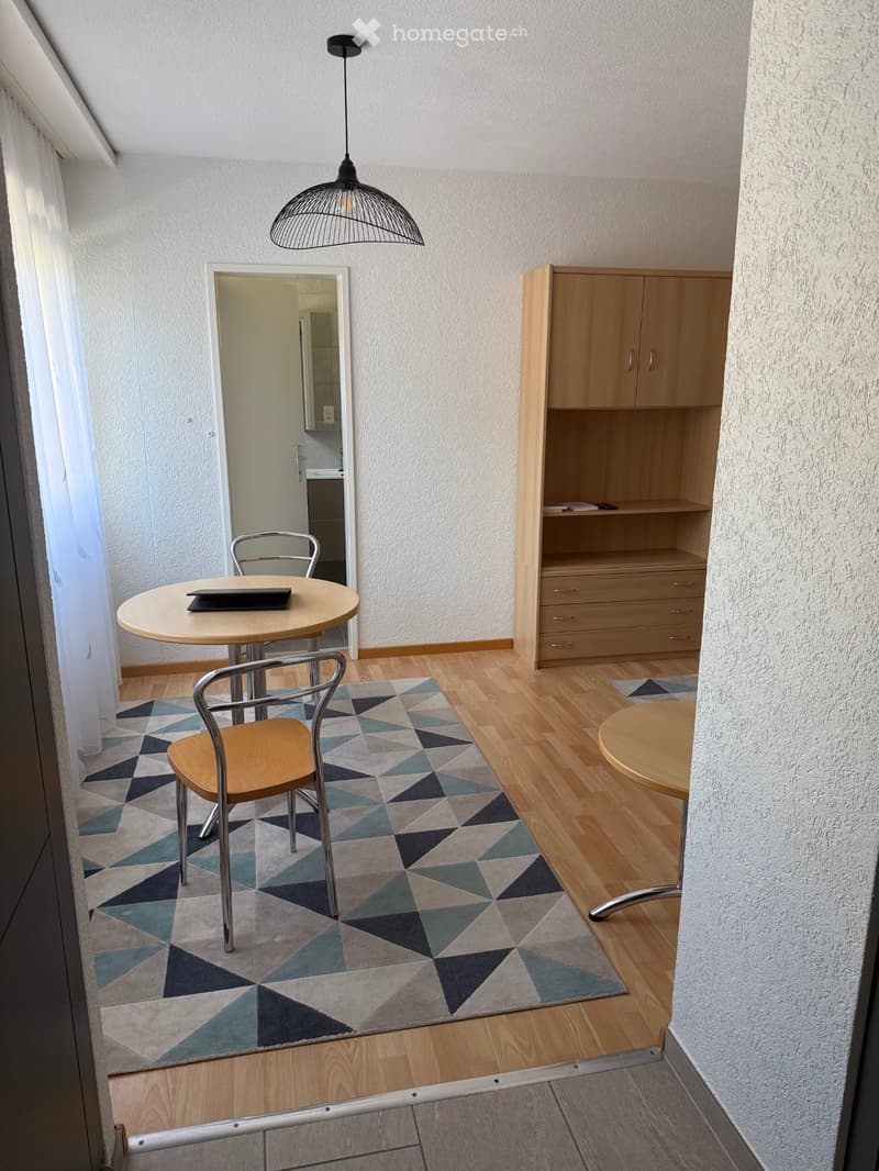 Super studio meublé à Sierre (2)