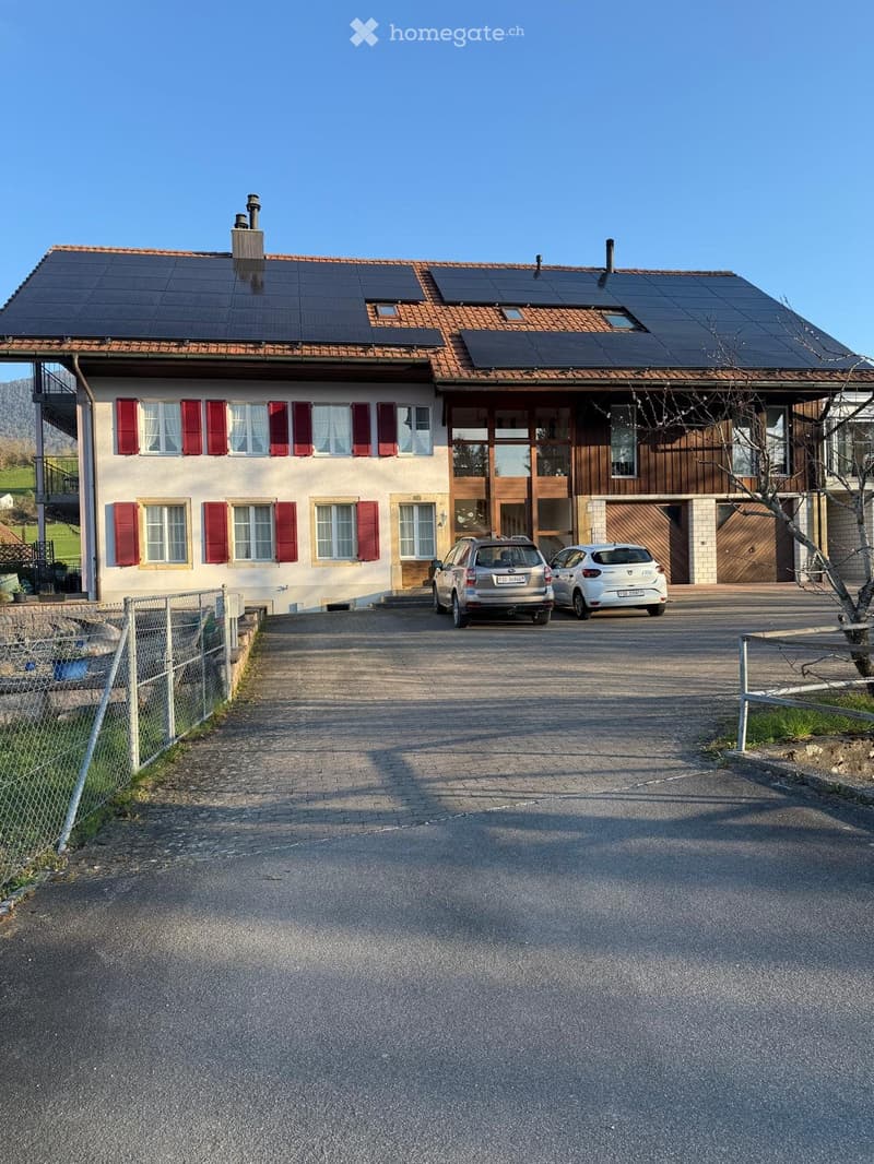 4 1/2 Zimmer Parterre Wohnung zu vermieten (1)