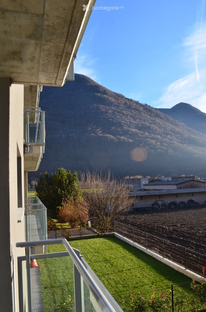 Lumino luminoso, appt. 2 .5 incl. parking+conguagl. affare!! (5)