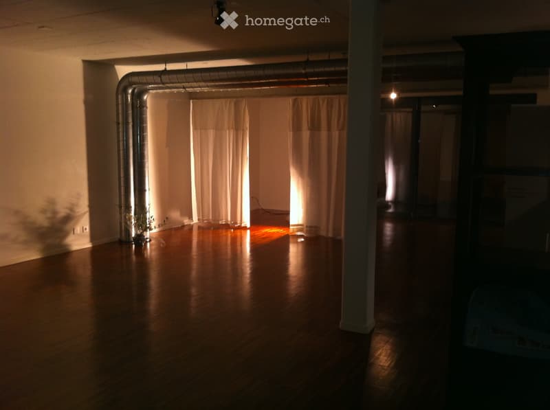 LOFT au bord du lac (3)