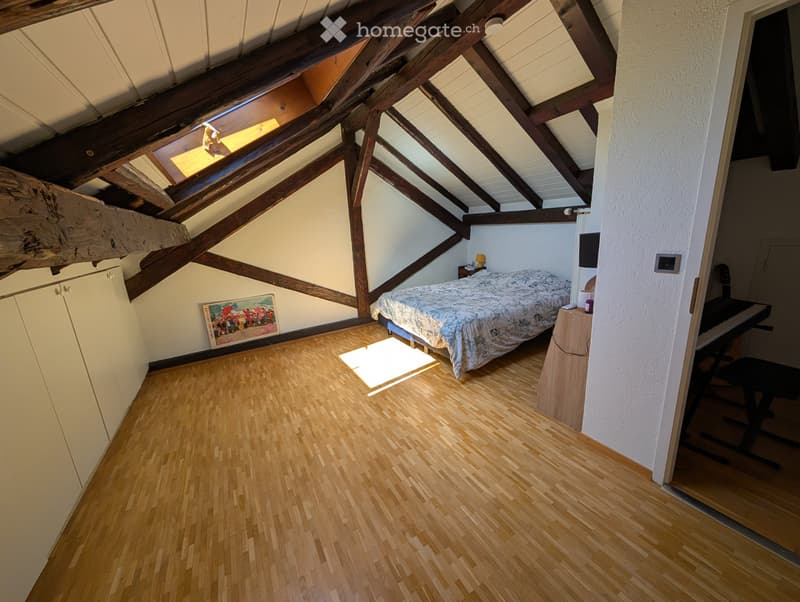 Superbe duplex lumineux 5 pièces avec jardin (5)