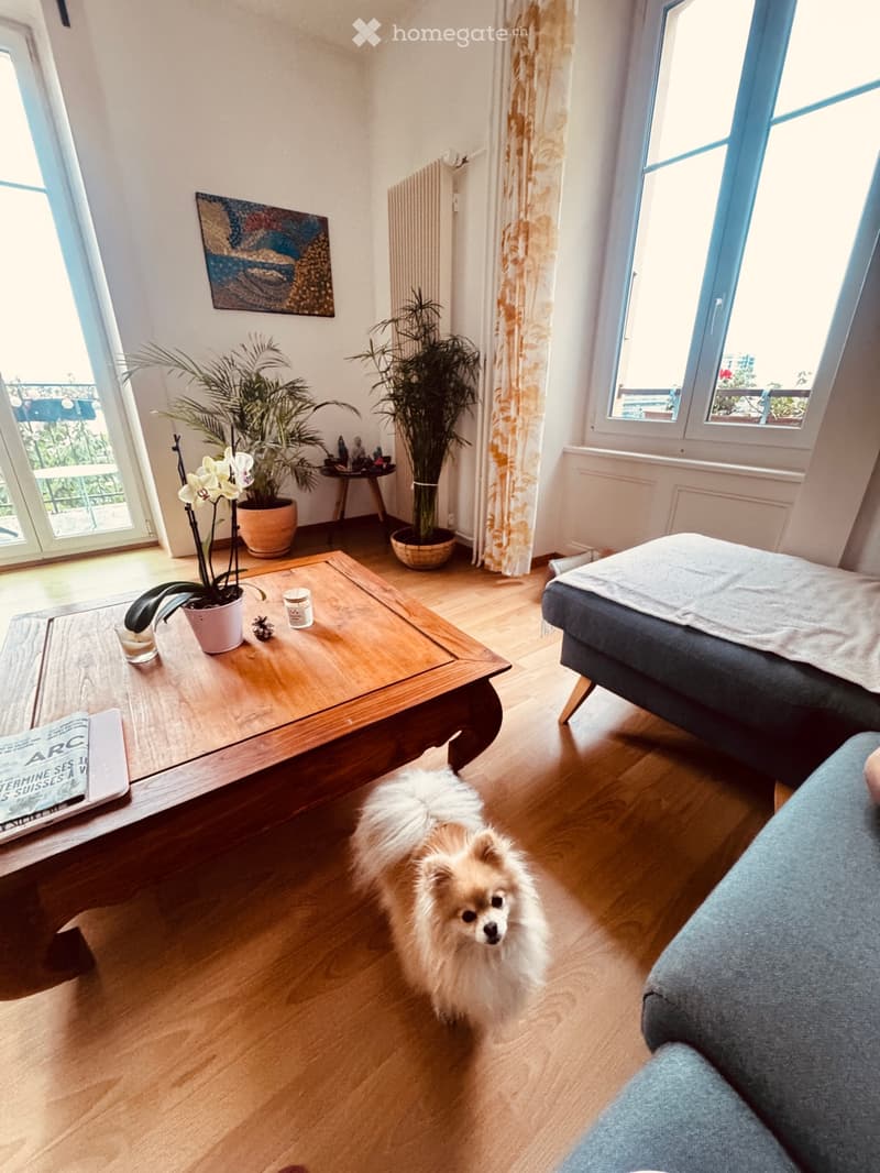 Chambre à louer Appartement 3 pièces avec vue sur le lac (1)