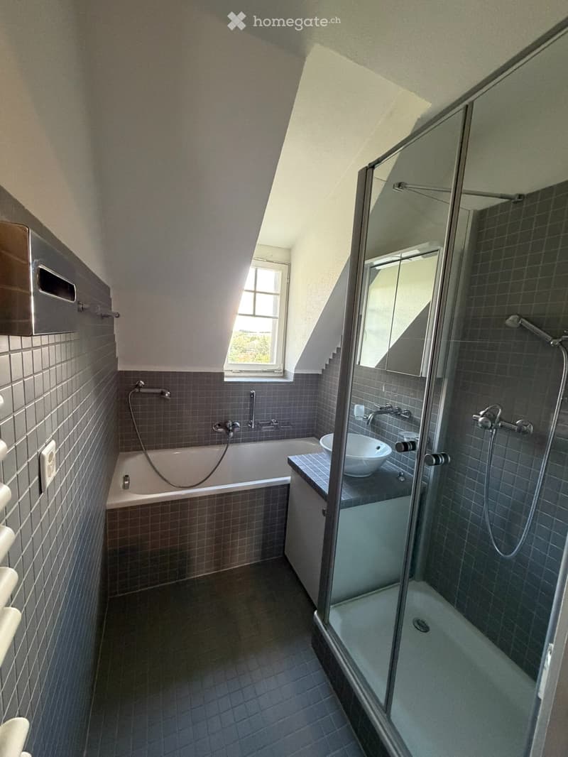 Appartement 5,5 pièces / Quartier Gambach Fribourg (5)
