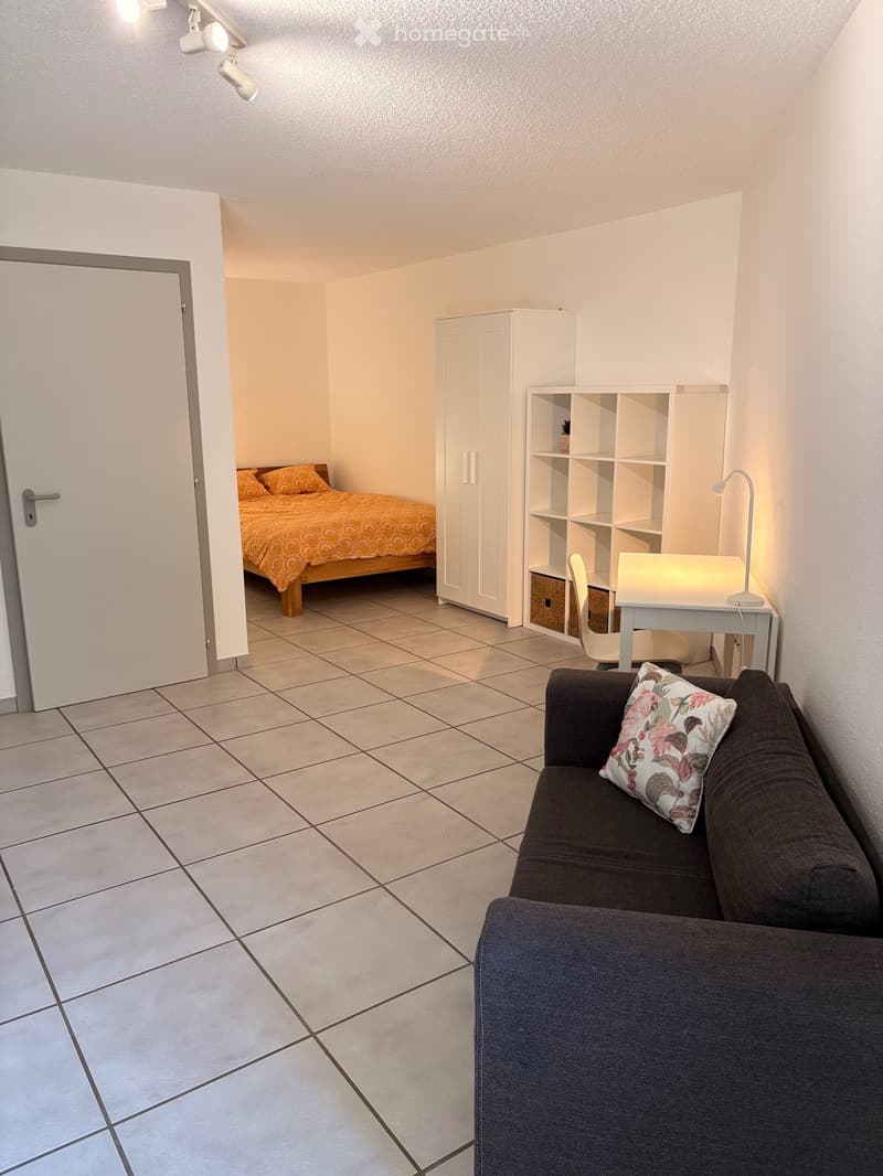 Schönes möbliertes Studio zu vermieten (2)