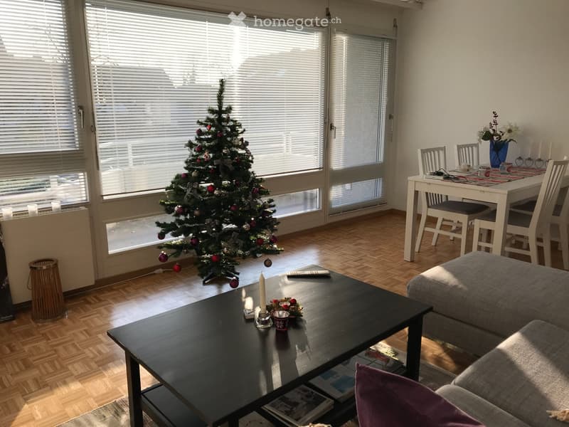 Lumineux appartement meublé de 3.5 pièces à Nyon incl.parkin (2)