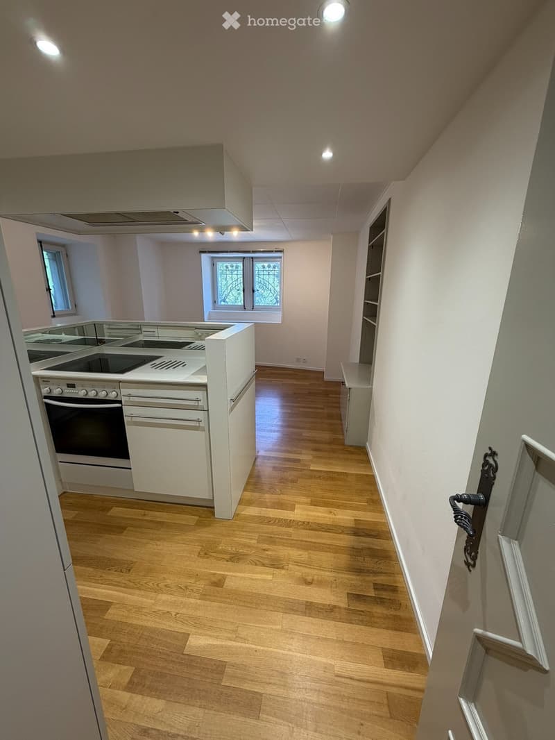 Appartement 3,5 pièces / Quartier Gambach Fribourg (5)