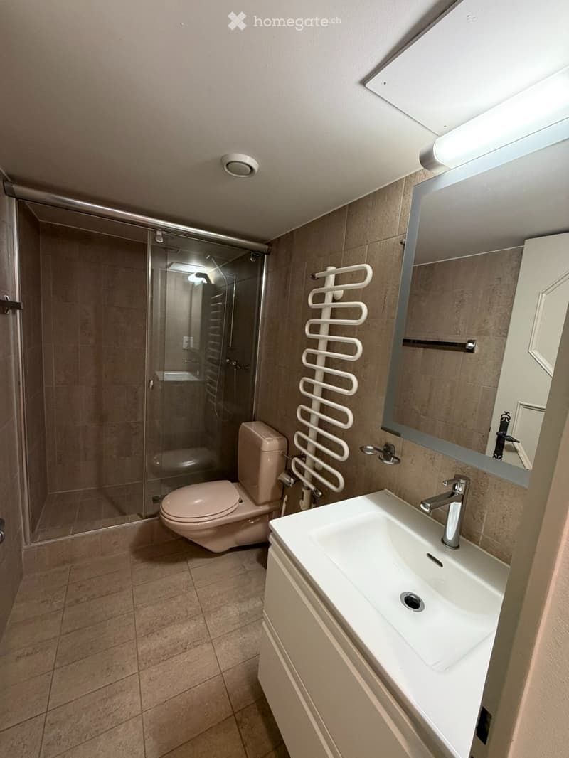 Appartement 3,5 pièces / Quartier Gambach Fribourg (4)