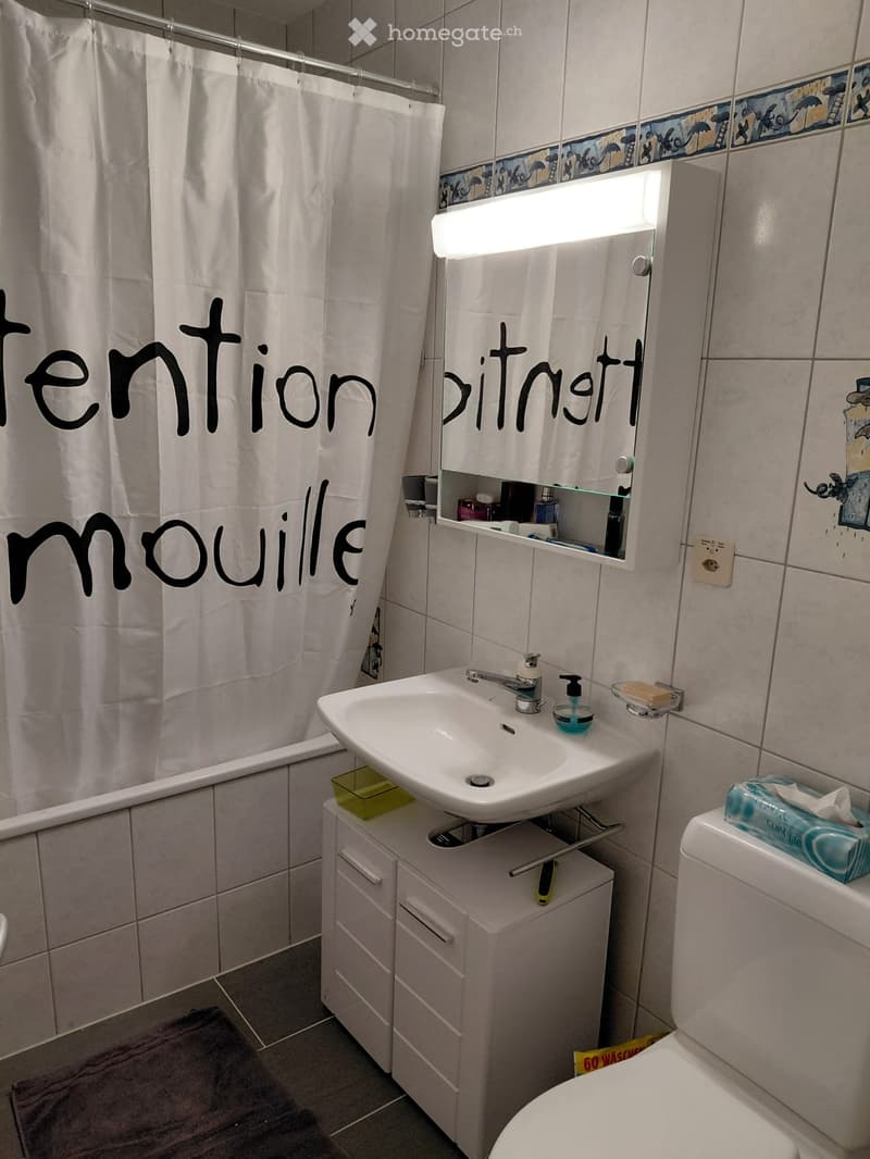 Colocation à Champlan (VS) (5)