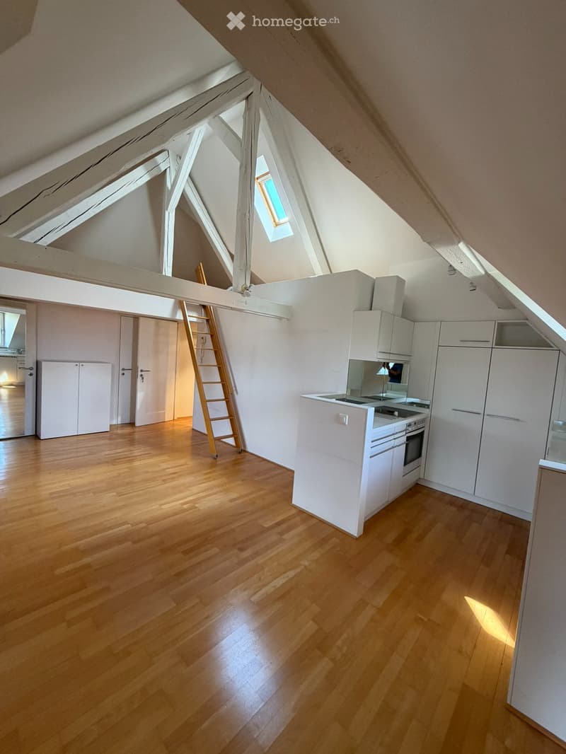 Appartement 2,5 pièces / Quartier Gambach Fribourg (2)