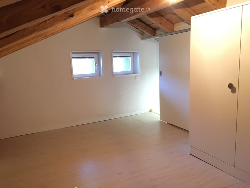 Charmant petit mazot duplex - FULLY (4)