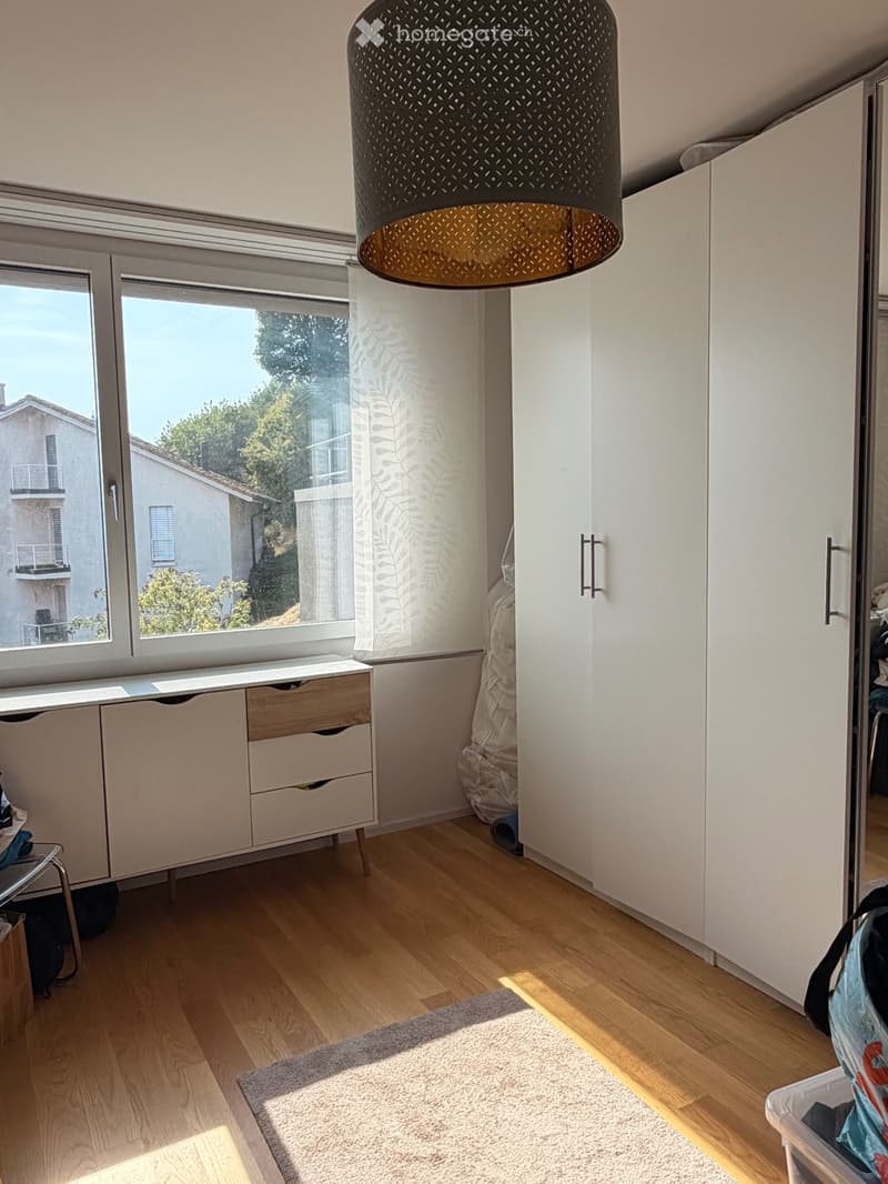 À louer 3,5 pièces avec balcon et vue sur le lac (4)
