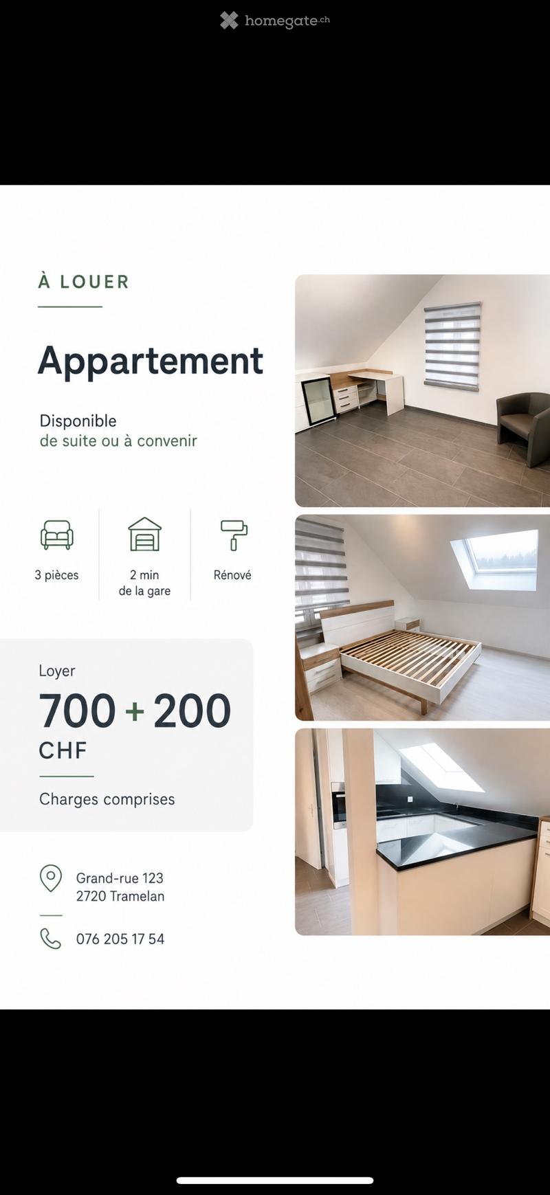 Appartement 3 pièces lumineux avec velux (1)