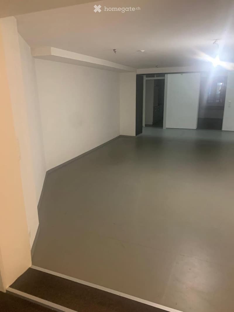 Surface commerciale / Bureaux (2)