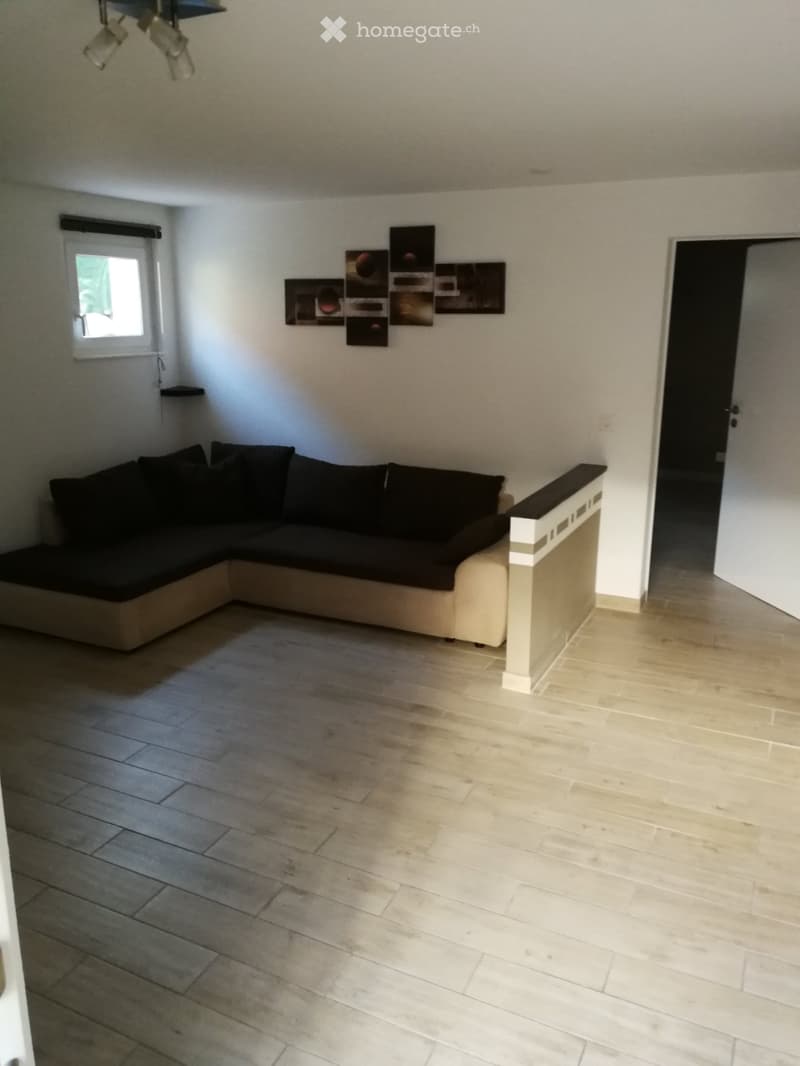 Appartement Grand 2.5 pièces (2)