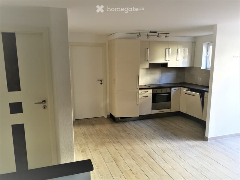 Appartement Grand 2.5 pièces (3)