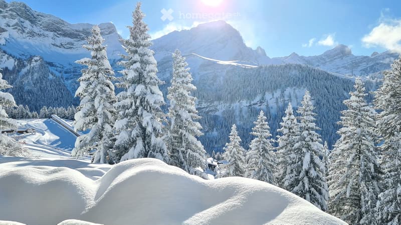 Vacances pour le ski, randonnée, bike ou baignade! (5)